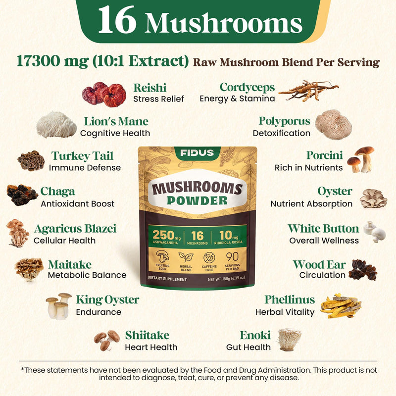 Fidus 16 Mushroom Supplement Powder with 17,300mg, 90 Day Servings Mushroom Coffee Alternative for Immunity, Focus & Energy with Ashwagandha, Lion's Mane, Chaga and Reishi, 100% Fruiting Bodies 6.7 Ounce (Pack of 1)