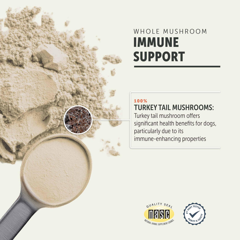 Bovine Colostrum + Turkey Tail