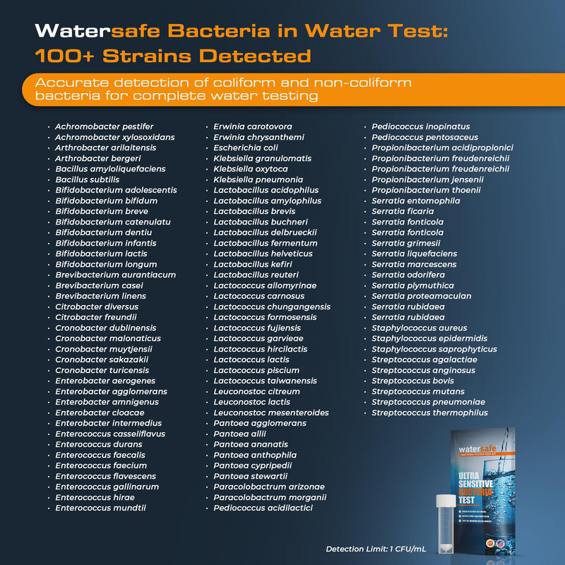 Watersafe® Bacteria Water Test Kit – USA-Made – Results as Fast as 6 Hours – Detects Coliform (Inc. E. coli) & Non-Coliform Bacteria in Drinking, Well & Tap Water – Lab-Quality Testing – 1 Pack