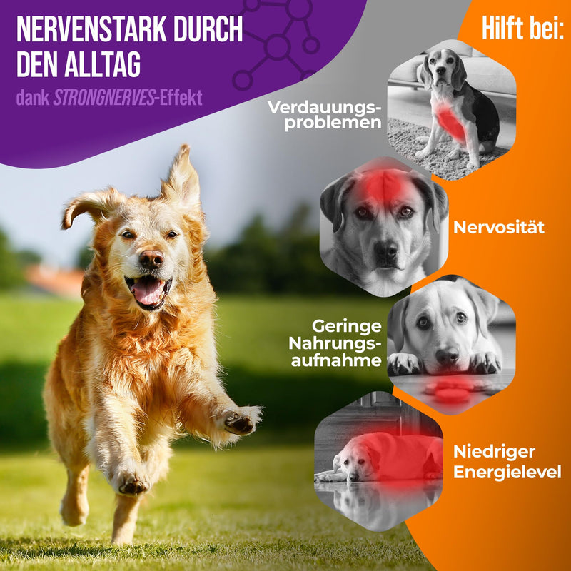 NatiVivo® Premium Dog K1 Vitamin B Complex high dosage including B12 and folic acid. Strong nerves through everyday life! Tablets Made in Germany! Dog - BeesActive Australia