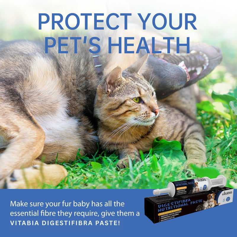 Probiotic Paste for Dogs & Cats | Dog Diarrhoea Treatment & Anal Gland Support | Digestive Supplement with Prebiotic & Probiotic for Gut Health & Digestive Balance (60 ml) 60 ml (Pack of 1)