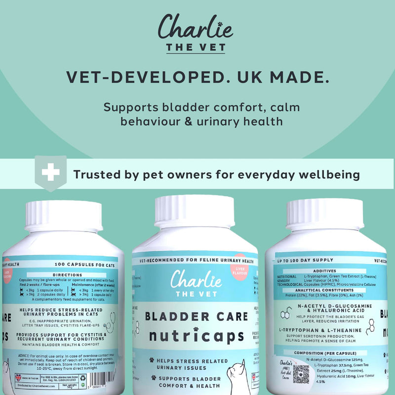 Bladder Care Urinary Support for Cats, with N-Acetyl D-Glucosamine, Hyaluronic Acid, L-Tryptophan and L-Theanine, for Bladder Comfort