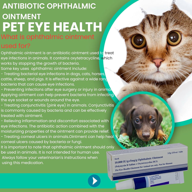 Pet Eye Health Ointment for Dogs, Cats, Cattle, Sheep, Horses, Birds and Puppies, Kittens 1/8 oz /3.5gr - 1 Tube - BeesActive Australia