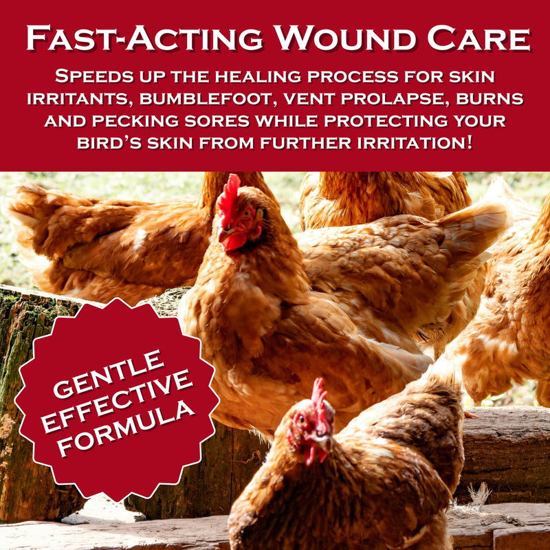 Chicken's Choice Wound Care for Chickens & Birds. Advanced Wound Care Spray for Poultry. Works for Bumblefoot, Vent Prolapse, Pecking Sore, Burns & Skin Irritations. Makes 32 oz Spray. 32 Fl Oz