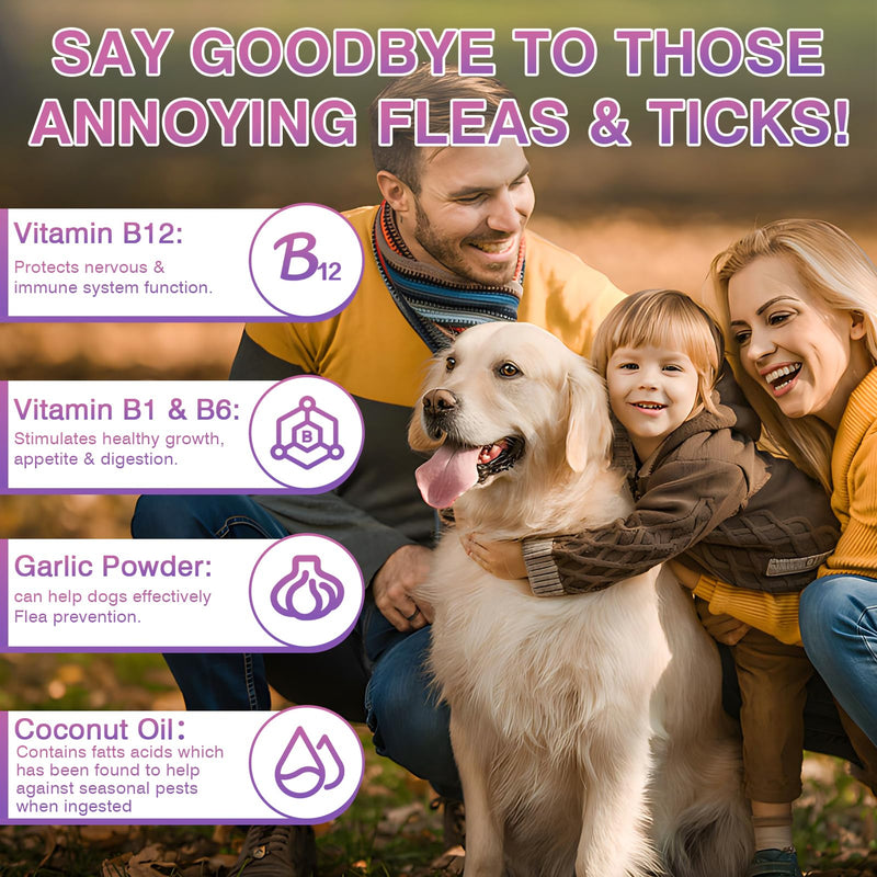 Flea and Tick Prevention Chewable for Dogs Fleas Ticks Treatment Dog Oral Chewables Support Supplement Breeds and Ages Dogs 200 Treatment Chews Natural Soft Chew Chicken - BeesActive Australia
