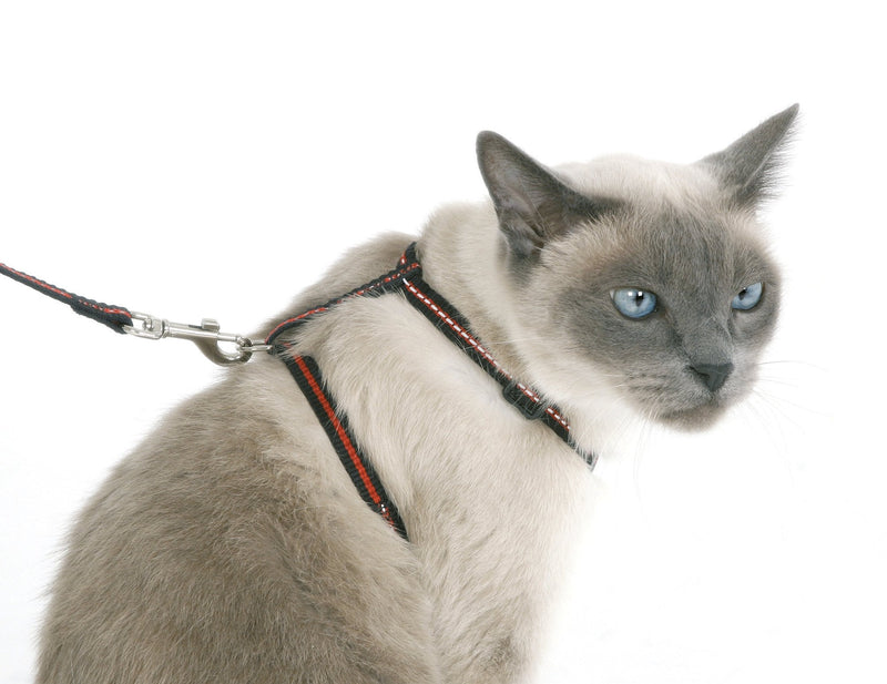 Kerbl Pet 83785 Set of collar, harness and leash for cats reflective - BeesActive Australia