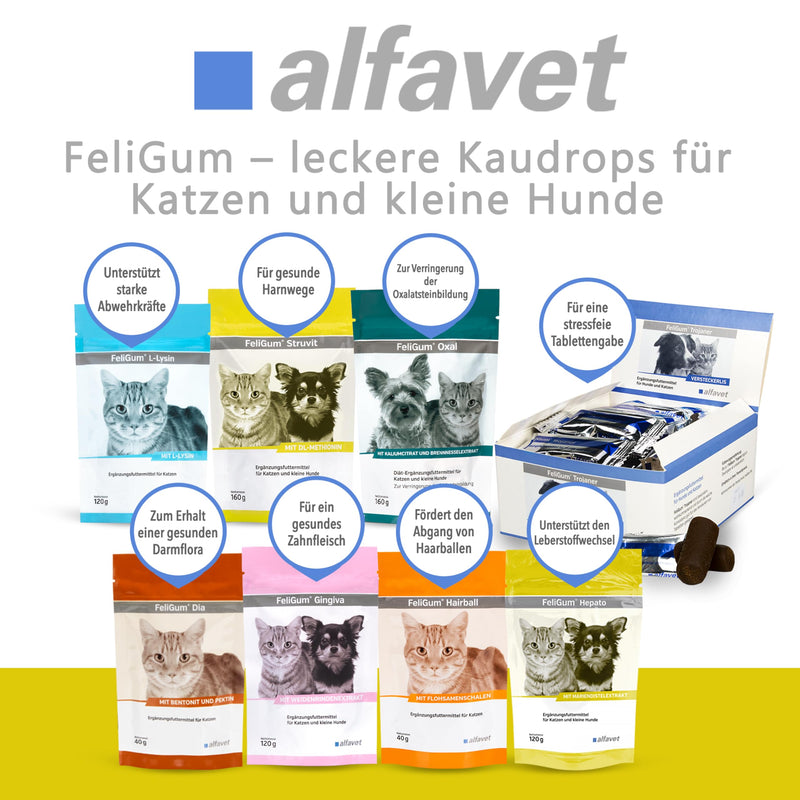 Alfavet FeliGum Hepato, supplementary food for cats and small dogs, for chronic liver insufficiency, 120g, approx. 60 chewing drops - BeesActive Australia