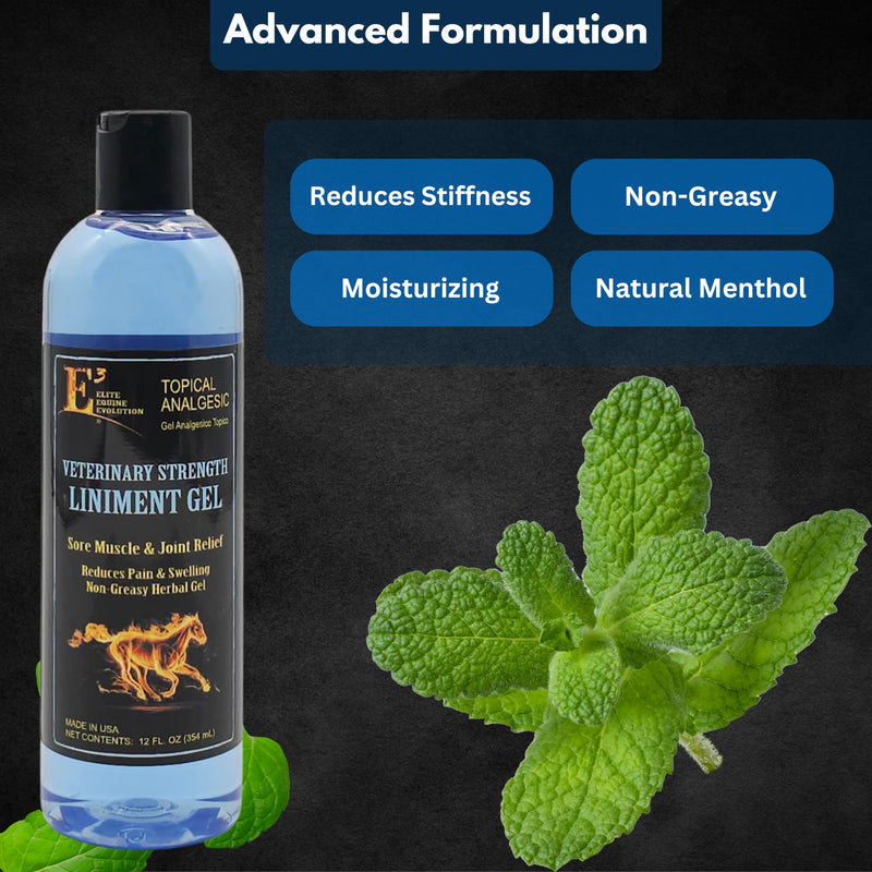 E3 Joint and Muscle Lin Non-Greasy Herbal Gel with Mint – 12 oz Cooling Botanical Equine Gel for Post-Workout Massage and Daily Comfort – Fast Absorbing, No Residue