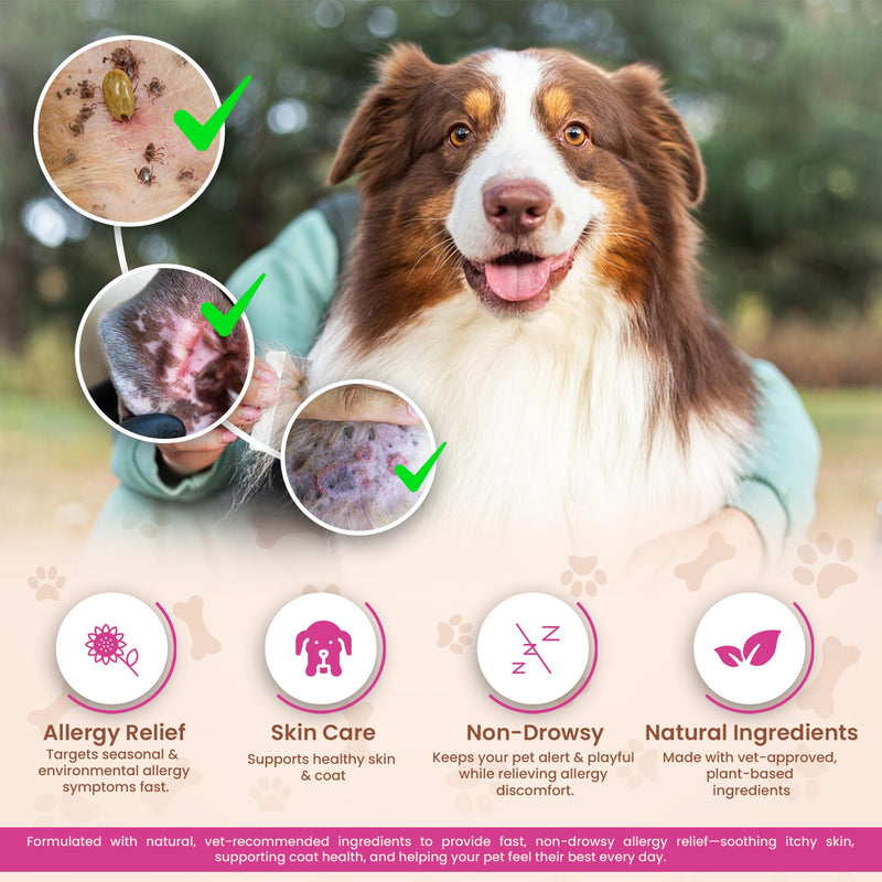 Allergy Relief Chews for Dogs – Itchy Skin, Hot Spots & Seasonal Allergy Support – Anti-Itch Supplement with Omega-3, Quercetin & Probiotics – Salmon Flavor – 120 Soft Chews