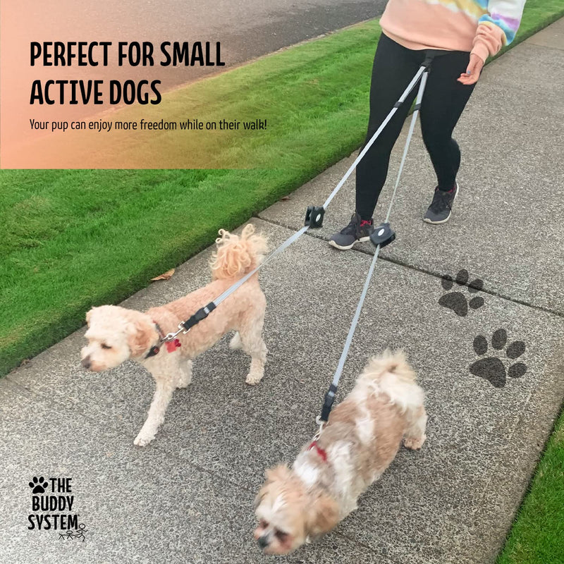 The Buddy System Retract A Buddy - Retractable Hands Free Waist Belt Leash for Walking, Jogging, Running, Hiking and Training Small Dogs Retractable leash Small Dog Black - BeesActive Australia