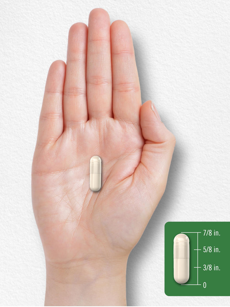 Carlyle Dry Vitamin E 400 IU | 120 Capsules | D-Alpha Tocopheryl | High Potency Formula | Non-GMO & Gluten Free Supplement