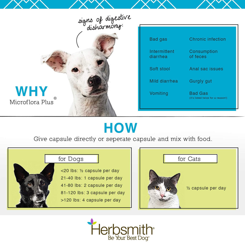 Herbsmith Microflora Plus – 4-in-1 Complete Cat Digestive Aid – Cat Prebiotics and Probiotics – Cat Probiotics for Diarrhea - 30 Capsules - BeesActive Australia