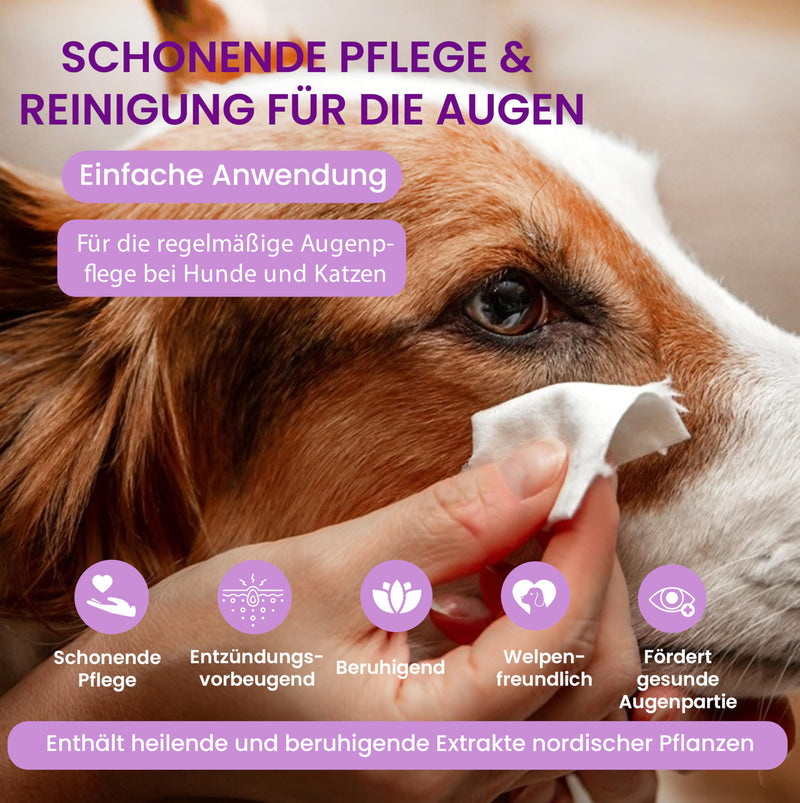 Golden Pets NEW! Eye cleaner for dogs and cats - 100% natural eye care I gentle cleansing against incrustations and tear stones I prevention of tear stains 100 ml - BeesActive Australia