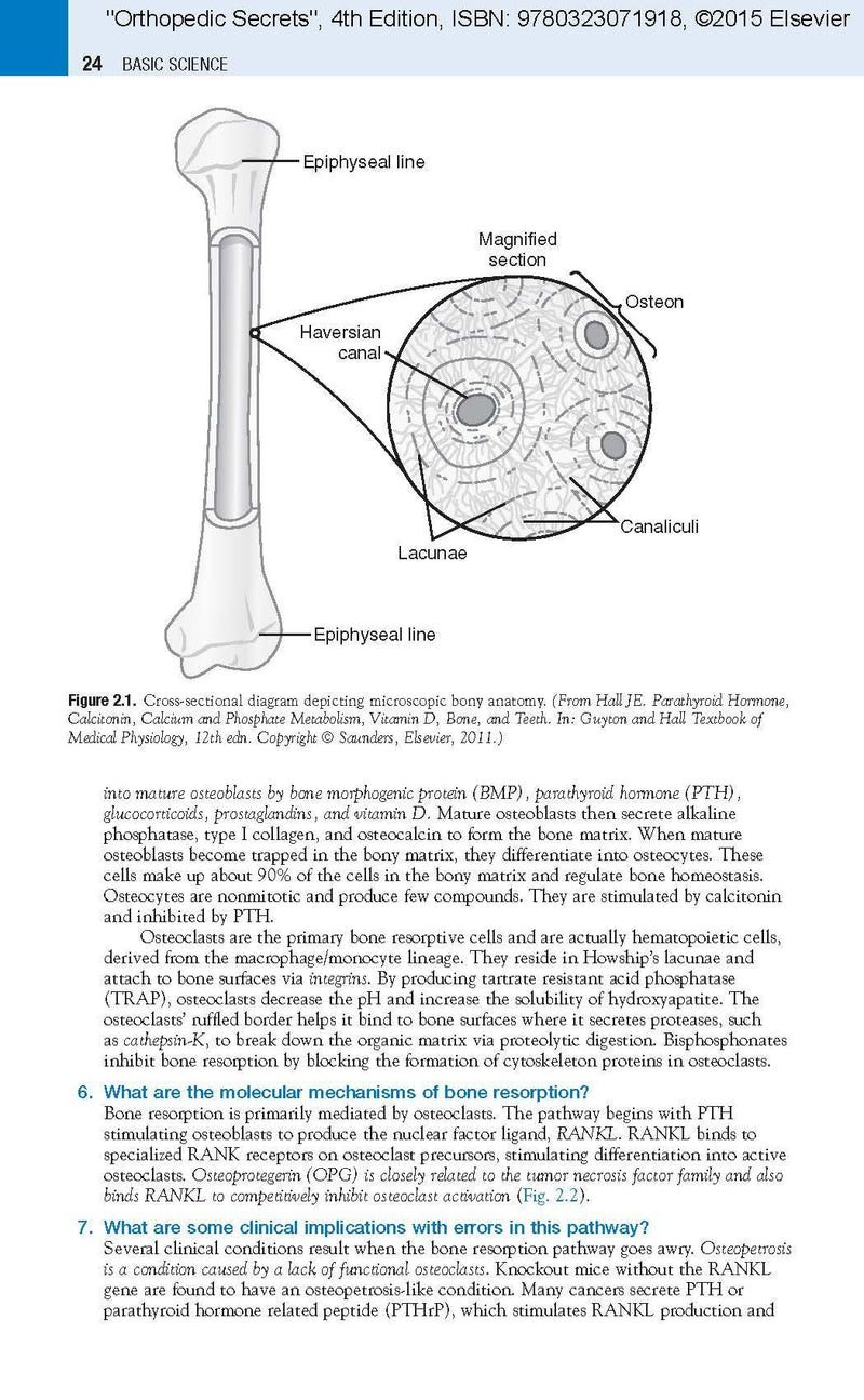 Orthopedic Secrets