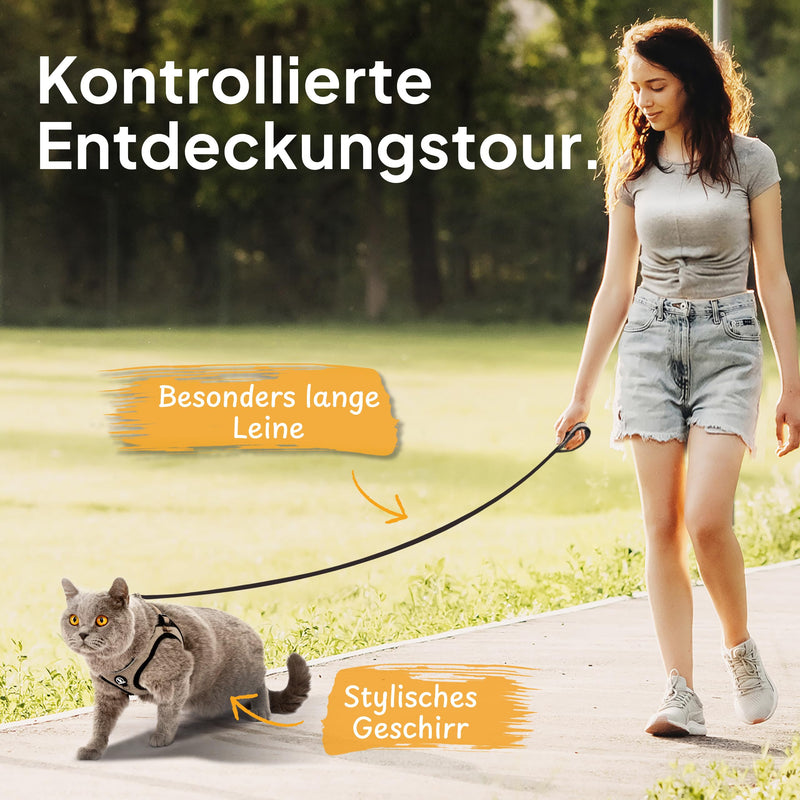 Tierhood - Cat harness set with leash for controlled freedom - Soft harness - Comfortable, adjustable & robust - Harness for active cats (gray, size M) M (neck size 28-32cm) (chest size 35-39cm) gray - BeesActive Australia
