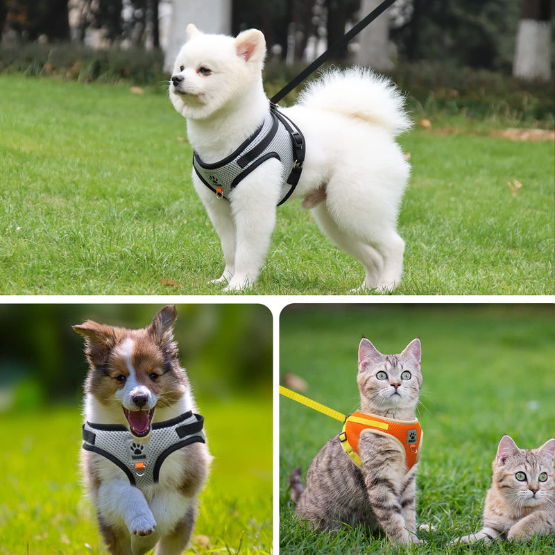 Cat Leash Set for Cats, Polyester Adjustable Cat Harness with Leash, Cat Vest with Reflective Strips for Kitten Dogs (Grey, S) Grey - BeesActive Australia