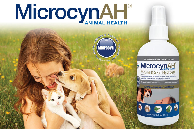 MicrocynAH Wound and Skin Care Hydrogel for Dogs | Non-Toxic Spray Formulated to Clean Wounds | Veterinarian Recommeneded Non-Toxic Formula | 8oz 8 Ounces - BeesActive Australia