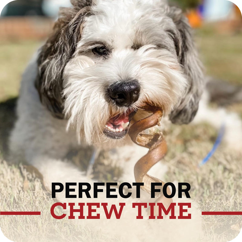 Redbarn Pet Products All Natural 5"-8" Braided Bully Sticks for Small & Large Dogs - Healthy Long Lasting Beef Chews Variety Party Pack - Single Ingredient Low Odor Rawhide Free - 8 oz Bag (Pack of 2) 8 Ounce (Pack of 2)