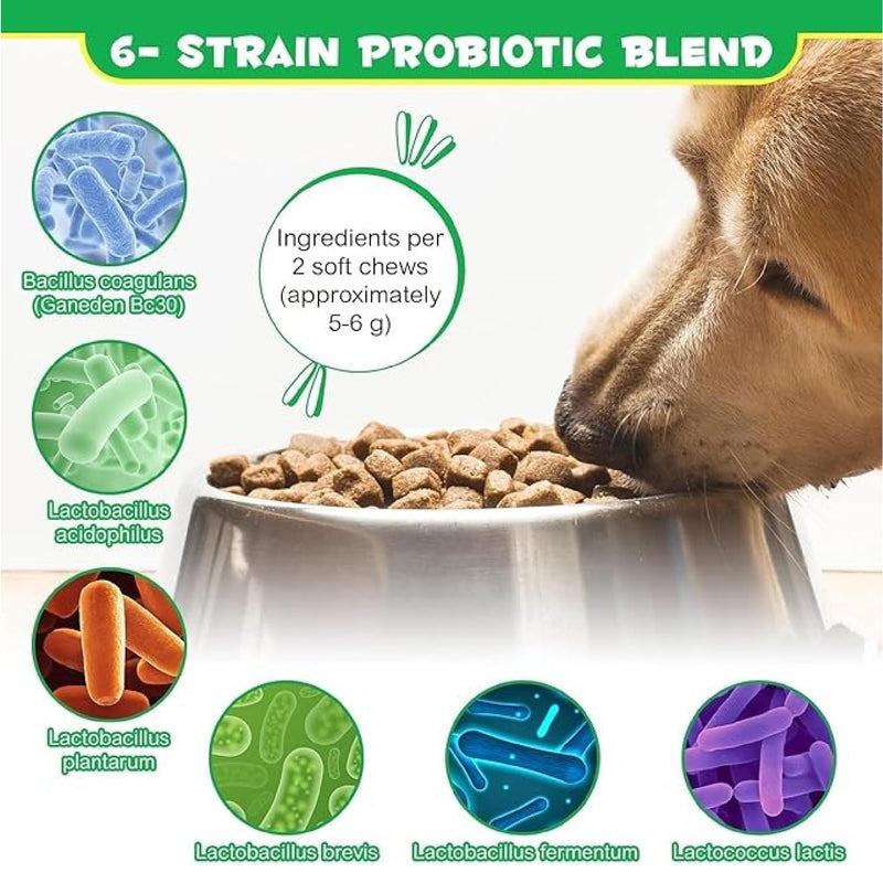 Dog Probiotics for Gut Health – 6 Billion CFU Multi-Strain Digestive Treats – Vet-Formulated Probiotics for Dogs, Dog Diarrhea Treatment, Immune & Skin Support – 60 Duck-Flavoured Chews