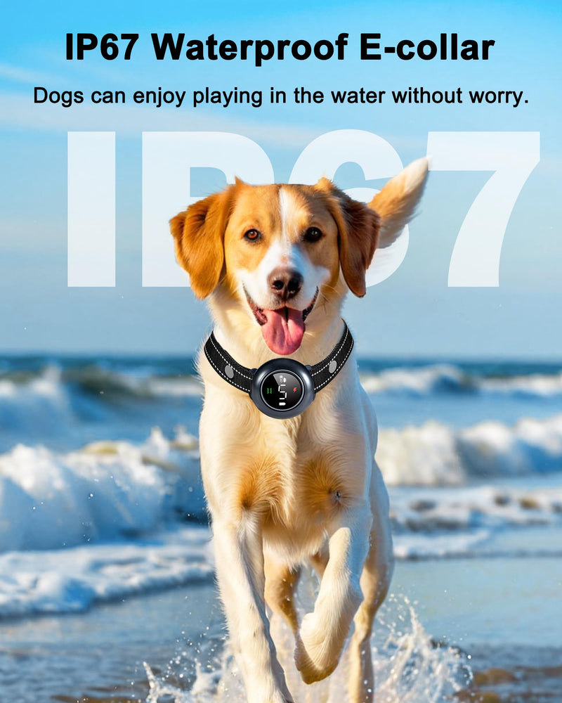 2-in-1 Dog Training and Bark Control Collar – Rechargeable, Waterproof, Smart Anti-Barking Collar for Small, Medium, and Large Dogs - Effective & Humane Training dark blue - BeesActive Australia