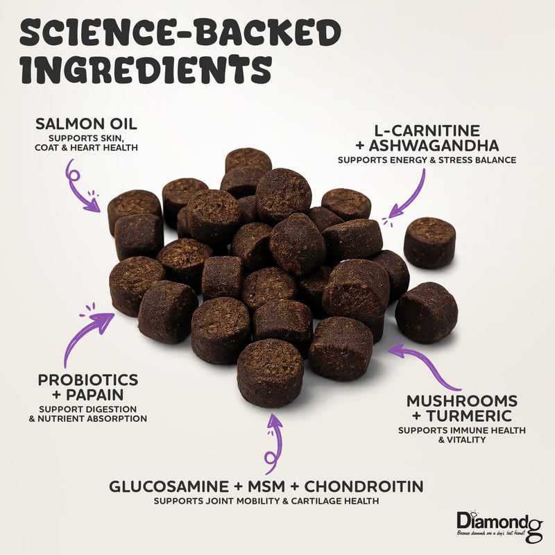 Diamondg Dog Mutivitamin Chews with Turkey Tail & Probiotics, 60ct - All in One Dog Nutritional and Health Supplement to Support Critical Immune Defense for Puppy & Senior, Daily Multivitamin for Dogs