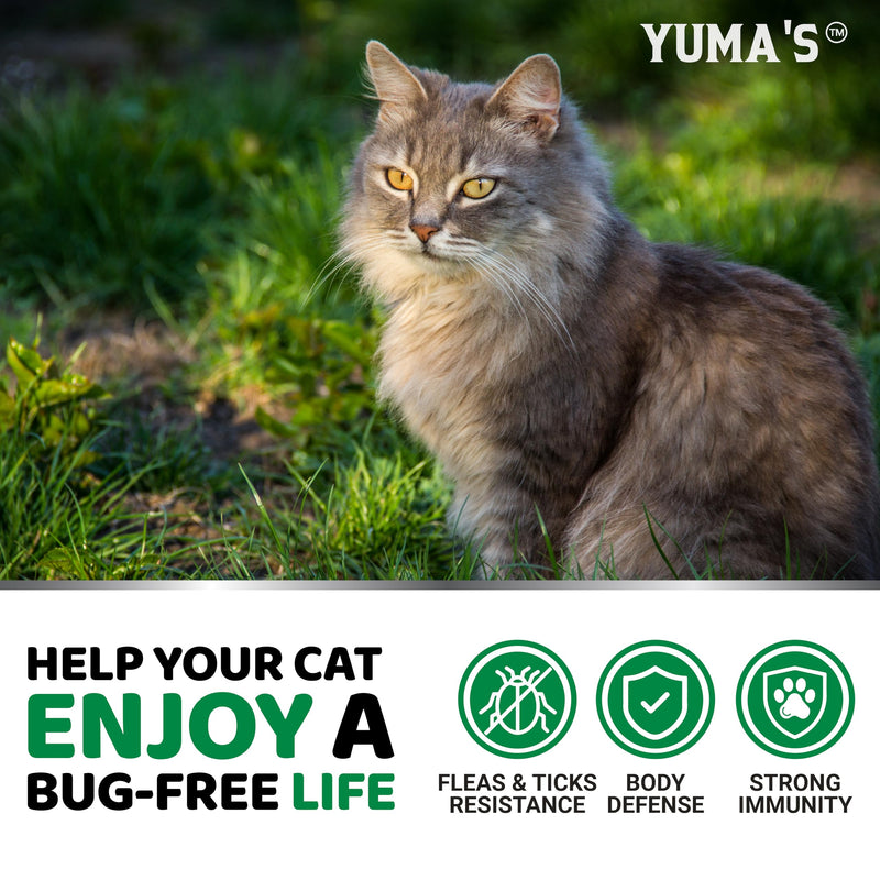 Flea Treatment for Cats - Flea and Tick Prevention for Cats - 160 Soft Treats - Natural Oral Supplement Pills for Kittens - All Breeds & Ages - Made in USA 160 Chews - BeesActive Australia