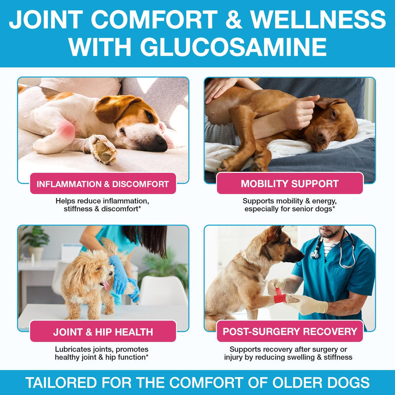 Joint Supplements for Dogs, Pain Relief for Dogs, Dog Joint Supplements for Senior Dogs, Chondroitin Drops for Dogs, Hip & Joint Glucosamine Drops for Dogs, Mobility Pain Relief, Natural Formula, 60ML