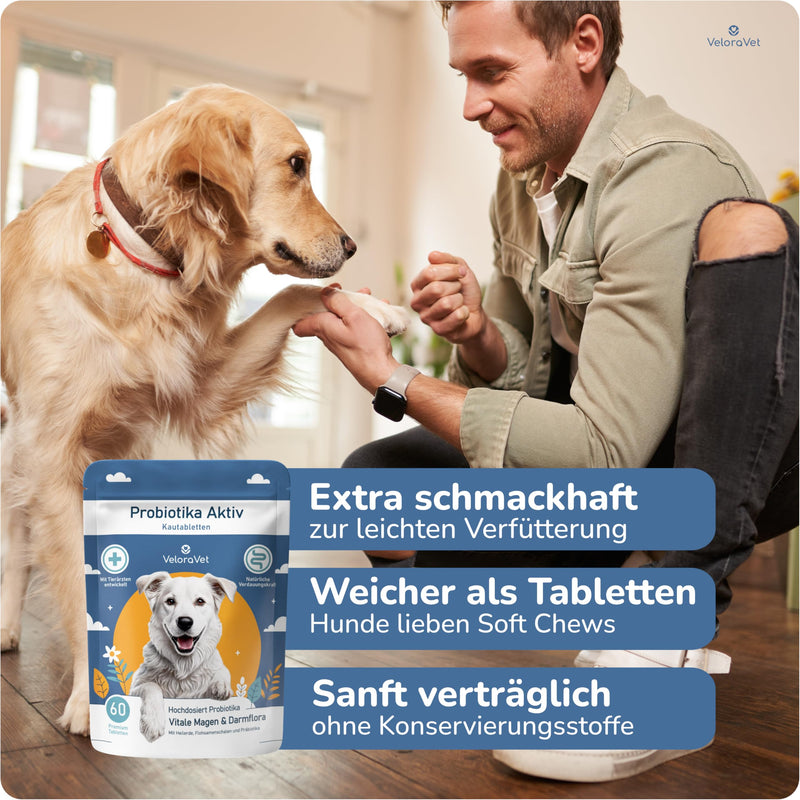 VeloraVet Probiotics Dog - stomach intestinal cleansing & intestinal treatment for dog intestinal flora, prebiotics, psyllium husks & healing clay, veterinary recommended for diarrhea, heartburn - 60 tablets full of care - BeesActive Australia