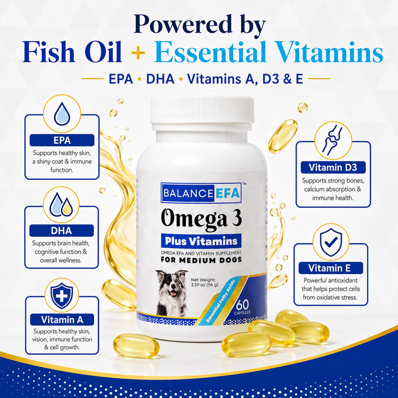 BalanceEFA Omega 3 Fish Oil for Dogs, Skin & Coat, Medium Breed 60 Ct | Fish Oil Capsules with EPA & DHA, Vitamins A, D3 & E, Supports Healthy Skin, Coat & Joints, Vet Formulated Medium - 60 count