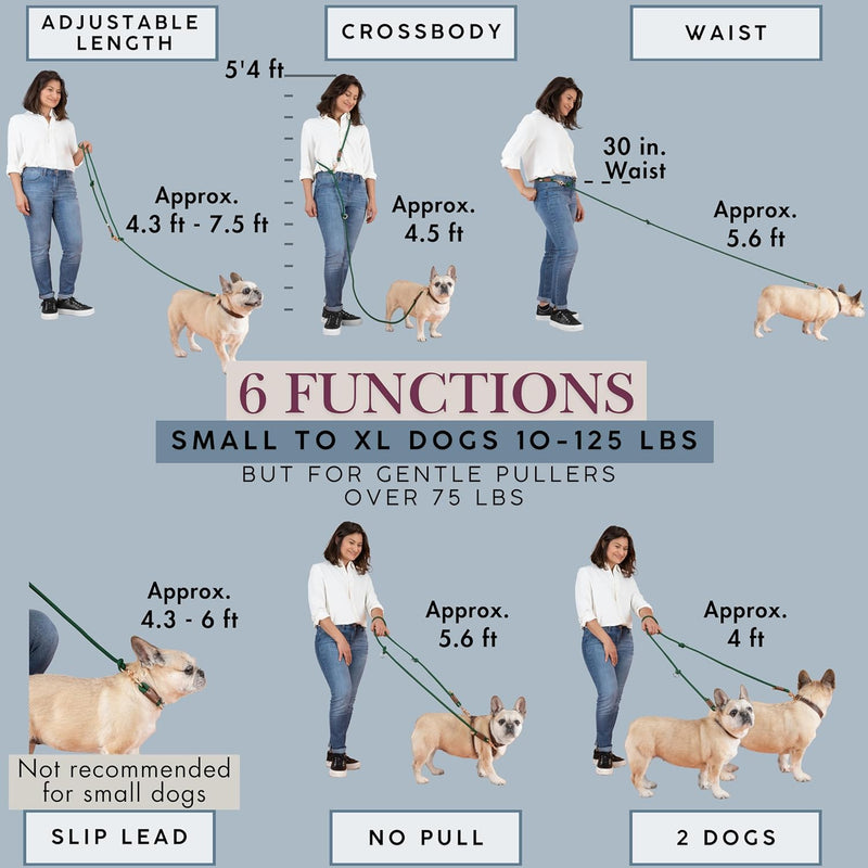Sticks N' Bones co Hands Free Dog Leash Waist Leash for Dog Walking Running Crossbody, Multifunctional Dog Leash Adjustable Heavy Duty Leash 2 Dogs Dual Handle Slip Lead Puppy Training Leash 8.2 FT (from Clasp to Clasp) x 10mm Honey Brown - BeesActive Australia