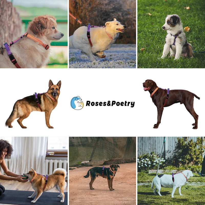 Roses&Poetry Dog Harness with Leash, No Pull Adjustable Harness Leash, Reflective Dog Halter Harnesses Comfort Padded Handle, Pet Walking Harness for Medium Dogs（Mistyrose-M） Mistyrose - BeesActive Australia