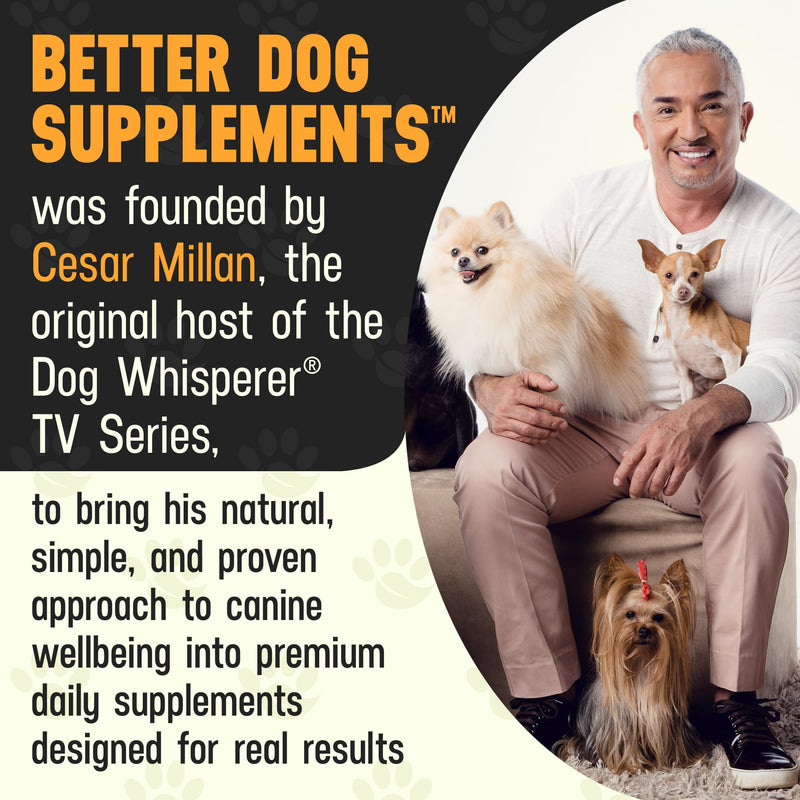 Better Dog Supplements by Cesar Millan® Puppy Defense – Natural Immune Support Powder for Young Dogs – Immunity, Gut Balance, Digestive Health & Early Wellness – 4oz, (60-Day Supply)