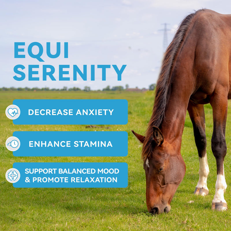 Horse Calming Support Powder – Helps Maintain Relaxed Behavior & Focus | Equine Taurine & Magnesium Blend | 15-Day Supply Box