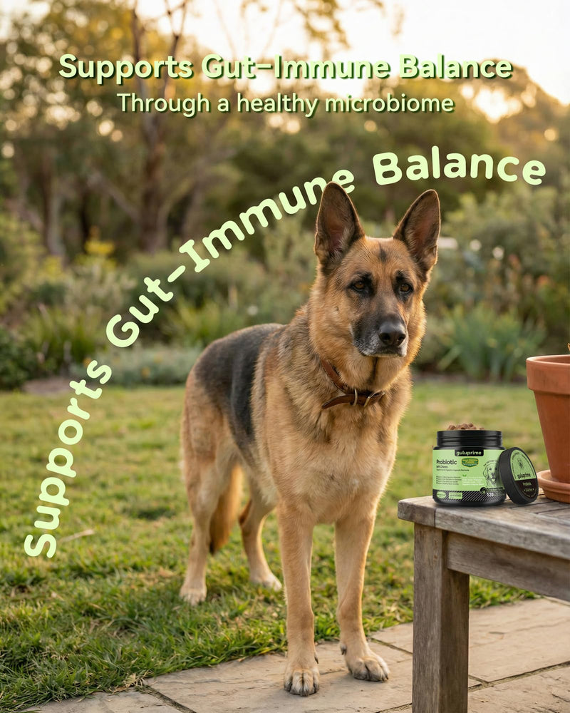 Probiotics & Prebiotics Soft Chews for Dogs – Daily Gut & Digestive Support, Spore-Forming Probiotic with Multi-Strain Lactobacillus, Prebiotic Inulin/FOS, Chicken Flavor, 120 Chews