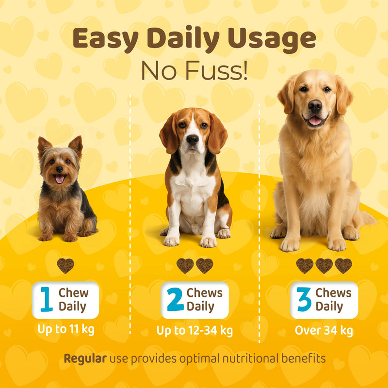 Probiotics Chews for Dogs – 120 Soft Dog Chews – Supports Gut Health, Stool Quality & Digestive Balance - Natural Beef Flavor – Probiotics Dog Treats for All Breeds & Sizes