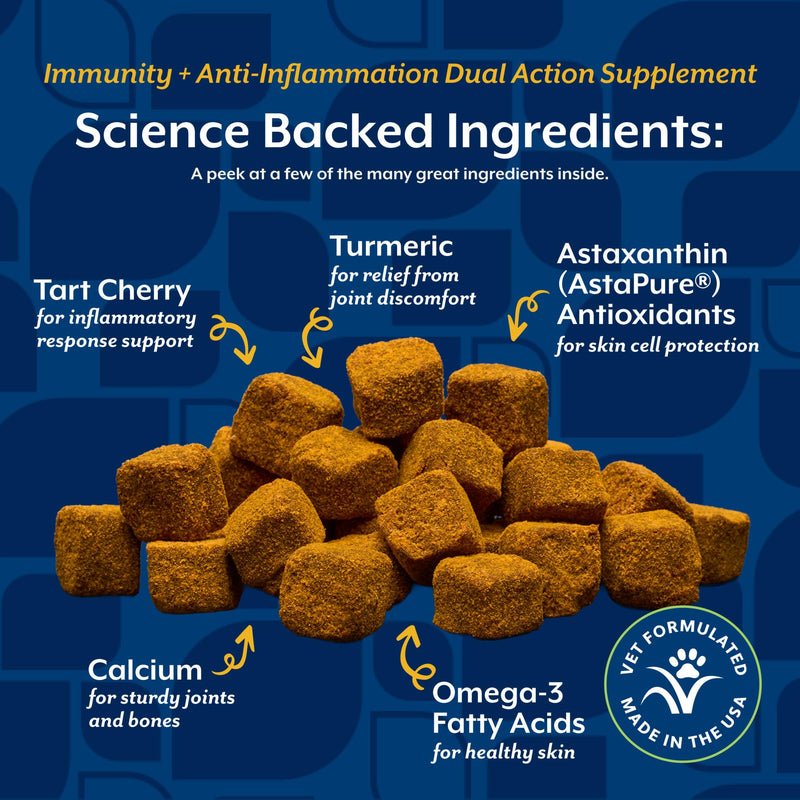 NaturVet Immunity + Anti-Inflammation Dual Action Supplements for Dogs, Helps Support Immune Response & Joint Comfort with Turmeric, Tart Cherry, Vitamin C, D, & Zinc, 60 Hickory Bacon Soft Chews