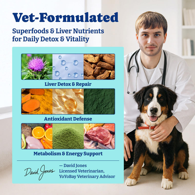 Dog Eye and Liver Wellness Bundle – Vision Support Chews with Antioxidants and Omega-3s Plus Milk Thistle Liver Detox Chews with NAC and Curcumin – Natural Daily Health Support for Dogs of All Breeds