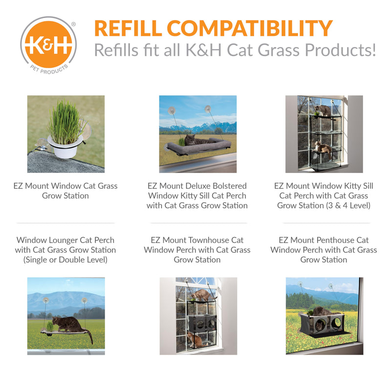 K&H Pet Products Cat Grass Grow Station Growing Cup Refills for K&H EZ Mount Products - Healthy Home Grown Grass Cat Toys for Bored Indoor Adult Cats, Farmed in USA, Non-GMO - Refill ONLY - 2 Pack - BeesActive Australia