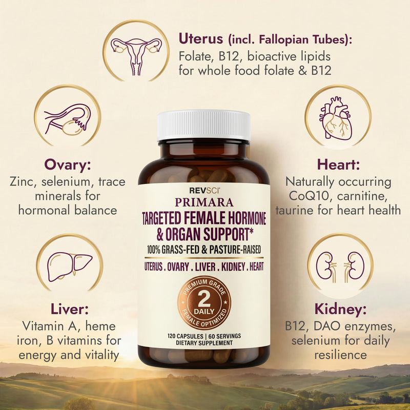 Beef Organ Supplement for Women (120 Capsules) Grass Fed Beef Organs with Liver, Ovary, Uterus, Kidney, Heart - Hormone Balance, Cycle Support, Queen Energy - Primal Womens Superfood Vitality Complex Female Organ Complex (120 Caps)