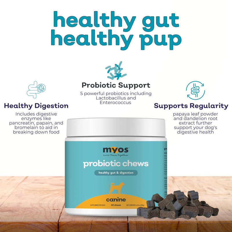 MYOS Probiotic Chew for Dogs - Daily Digestive Support, Promotes Complete Gut Health, Aids Digestion, Enhances Nutrient Absorption, Supports Healthy Stool - All-in-One Chewable Supplement - PawsPlanet Australia