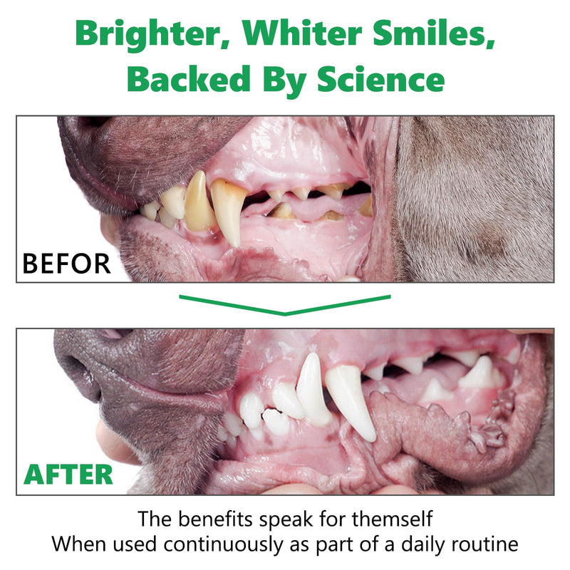 Teeth Cleaning Powder for Dogs, 2 x 80g Dog Dental Powder Cleaning Teeth, Dog Breath Freshener with Probiotics for Bad Breath, Plaque, Tartar - Dental Care Supplement for Small, Medium & Large Dogs - PawsPlanet Australia