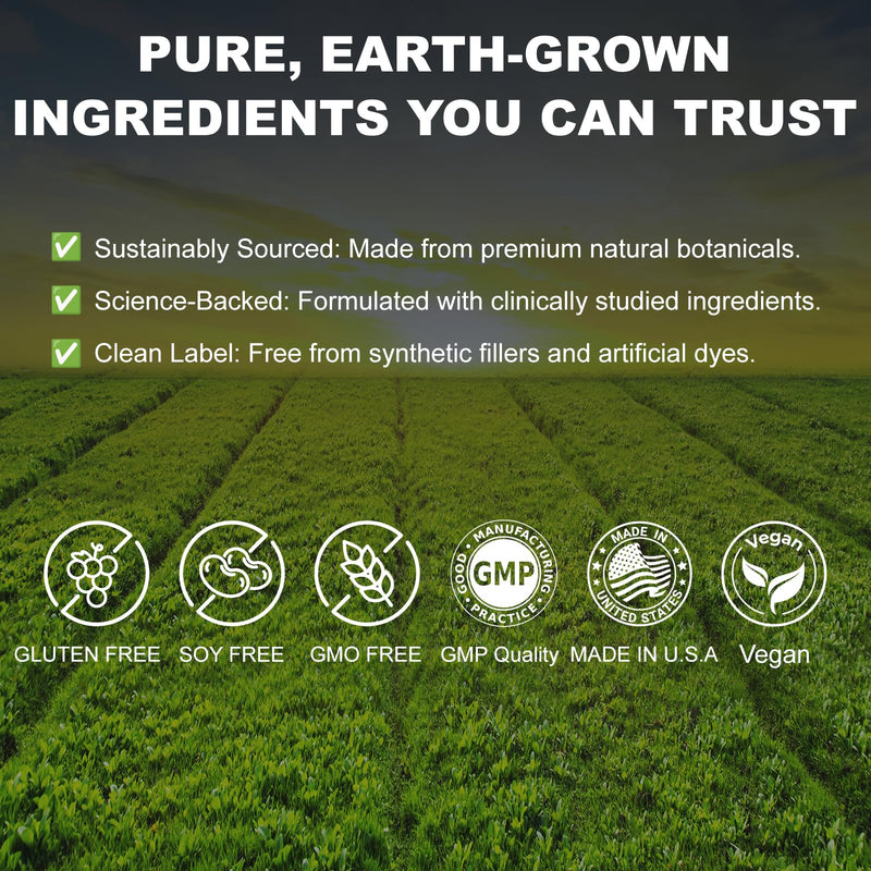 Eye Health Supplement with 8 Natural Ingredients - Bilberries, Blueberries, Saffron, Astaxanthin, Lutein - Supports Vision Health - 60 Veggie Capsules