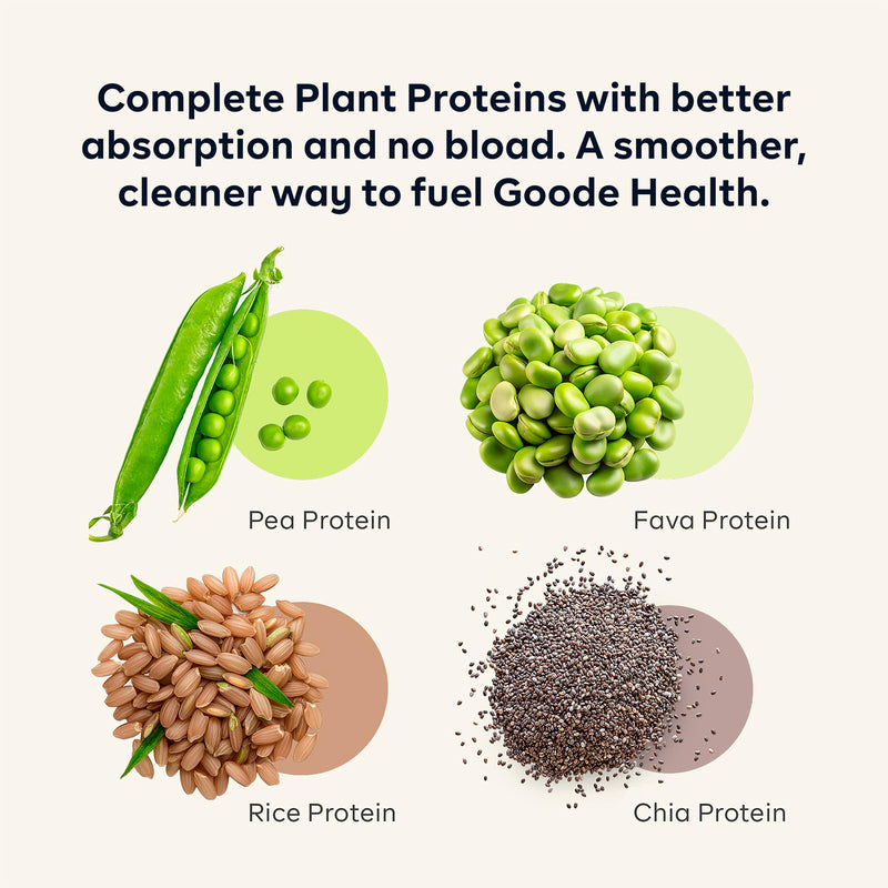 Vanilla Spice Plant Based Superfood Nutrition Shake | Meal Replacement Powder, 15g Protein, 5g Fiber, 10 Vitamins and Minerals, Antioxidants, Dairy & Gluten Free, Zero Sugar 1 Ounce (Pack of 7) Vanilla Spice
