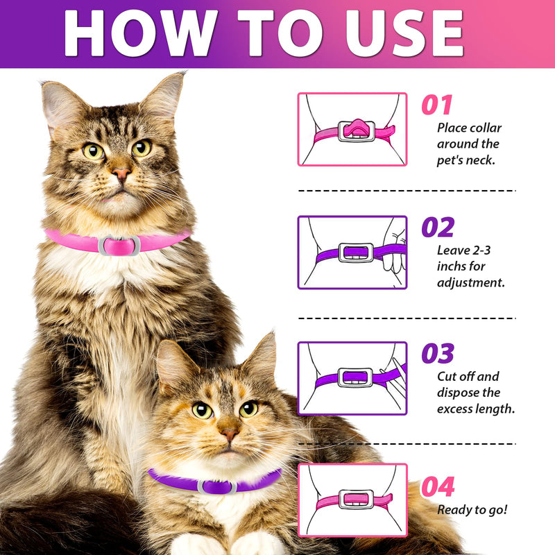 Tick flea collar for cats, 4 pieces against larvae and eggs - eliminates and kills - protects the animal and the habitat, effective protection for 24 months, adjustable and waterproof