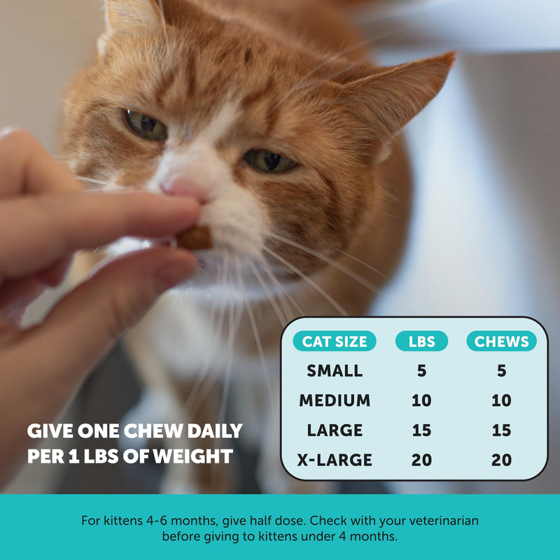 Cat Joint & Calming Support Virtual Bundle – Hip & Joint Health Chews + Calming Chews, 30 Day Supply Each