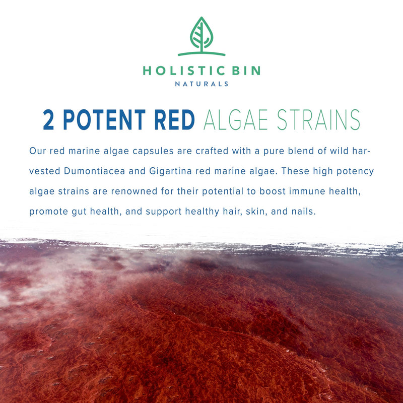 Holistic Bin Red Marine Algae Capsules Gigartina and Dumontiacea Red Algae Supplements | Gluten Free, Vegan, Wild Harvested | Rich in Vegan Omega 3 (40 Capsules)