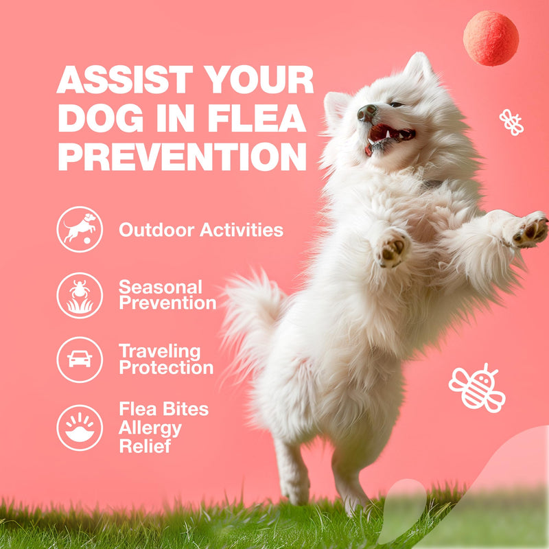 Dog Flea and Tick Treatment Chews - Flea and Tick Prevention for Dogs - Flea & Tick Chewables - Natural Dog Flea & Tick Control Soft Treats - Flea Chewables for Dogs - Immune Support Supplement Duck 180 count - BeesActive Australia