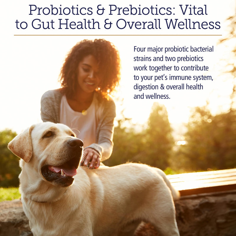 Rx Vitamins Rx Biotic - Probiotic Powder for Dogs and Cats - 2.12oz | Cat & Dog Probiotics for Digestive Health - Supports Gut Health for Dogs & Cats with Prebiotics New Label
