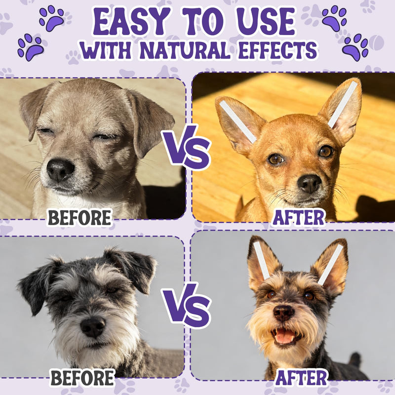 All-in-One Ear Posting Kit with Bonding Cement for Dogs, 4pcs Ear Tapes and 30ml Glue Remover for Doberman, Corgi, Yorkie Daily Care, Quick & Long-Lasting