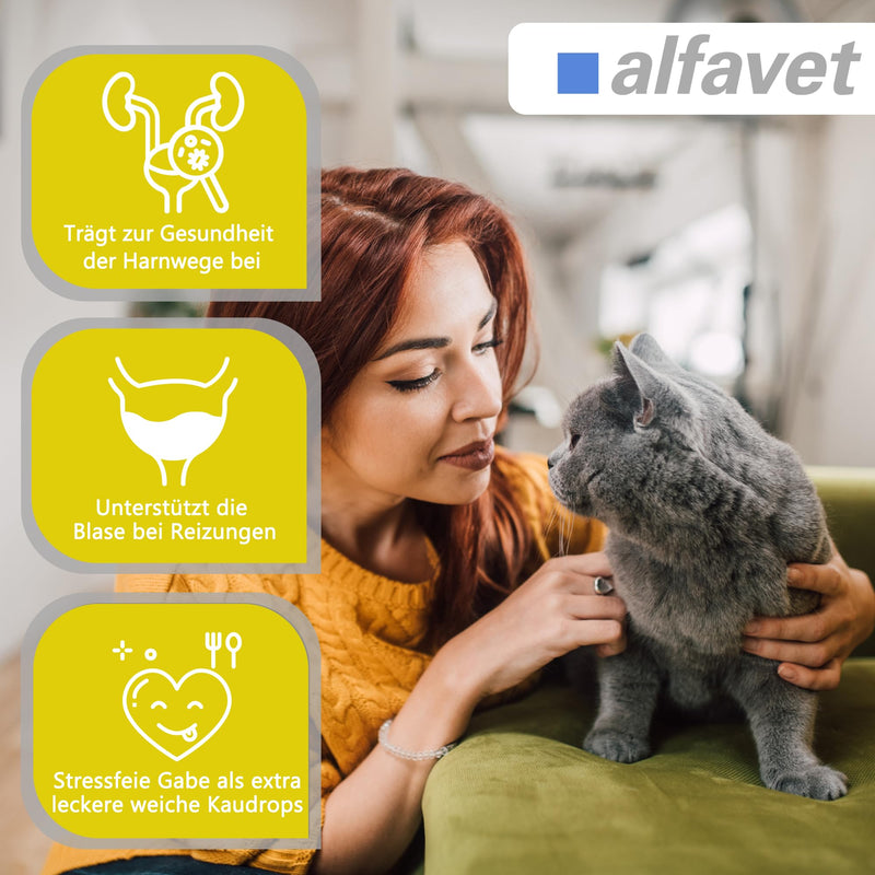 alfavet Feligum Struvit, chewing drops for dissolving struvite stones, cats and small dogs, 160g - BeesActive Australia